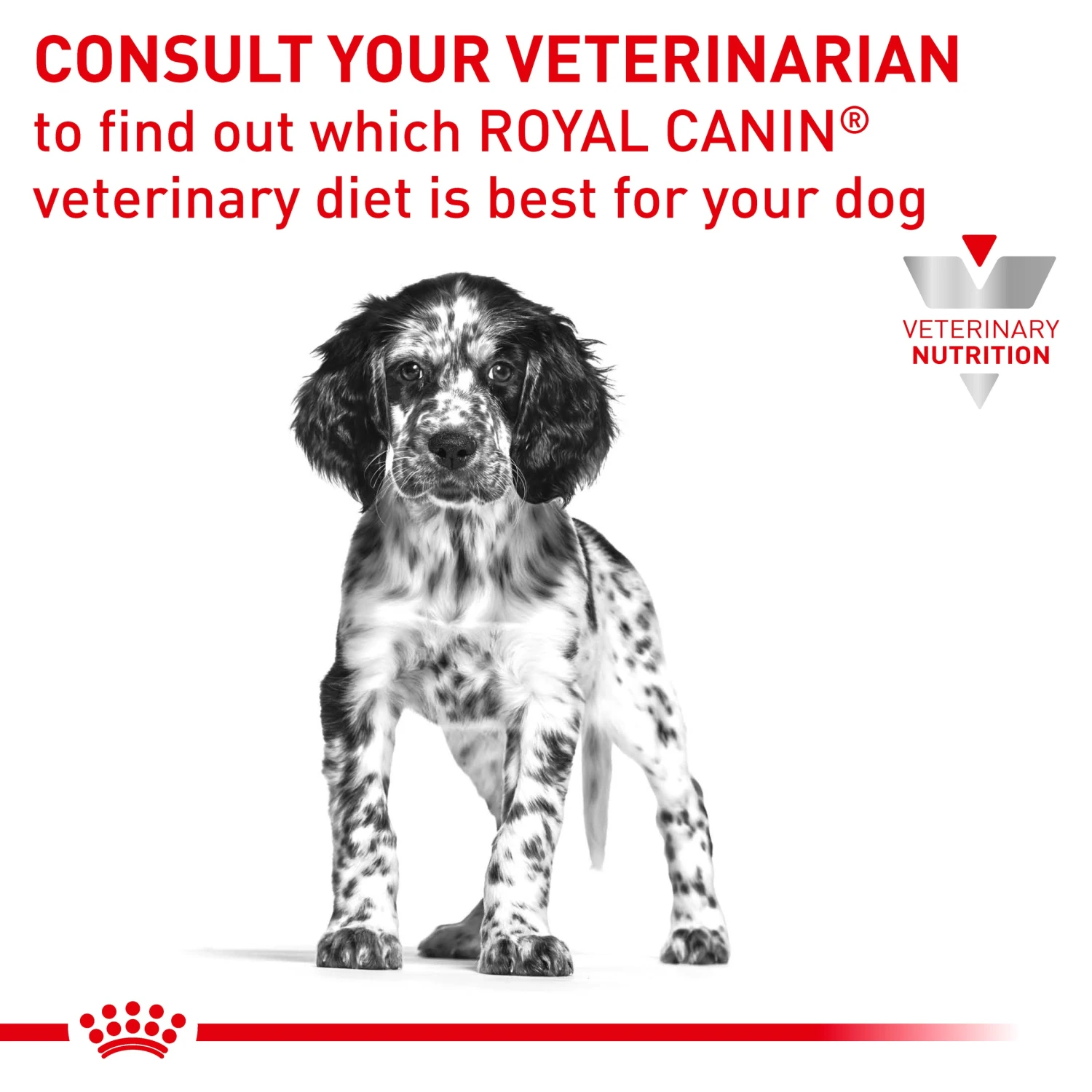 Royal Canin Veterinary Gastrointestinal Puppy Wet Dog Food 195g Cans 7 Royal Canin Veterinary Gastrointestinal Puppy Wet Dog Food 195g Cans - Image 5