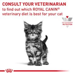 Royal Canin Veterinary Gastrointestinal Kitten Wet Food 195g Cans -KONG Shop ROYA 9003579013410 10