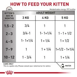 Royal Canin Veterinary Gastrointestinal Kitten Wet Food 195g Cans -KONG Shop ROYA 9003579013410 8