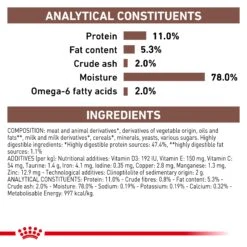 Royal Canin Veterinary Gastrointestinal Kitten Wet Food 195g Cans -KONG Shop ROYA 9003579013410 9