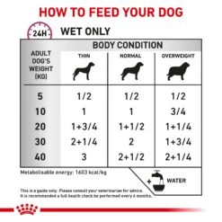 Royal Canin Veterinary Renal Special Wet Dog Food 410g Cans -KONG Shop ROYA 9003579013526 8 1