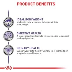 Royal Canin Expert Neutered Weight Balance Wet Cat Food 85g Pouches -KONG Shop ROYA 9003579015643 9