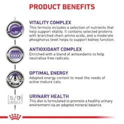 Royal Canin Expert Mature Consult Wet Cat Food 85g Pouches -KONG Shop ROYA 9003579015681 9