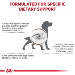 Royal Canin Veterinary Gastrointestinal Low Fat Adult Dog Wet Food 420g Cans -KONG Shop ROYA 9003579016176 8