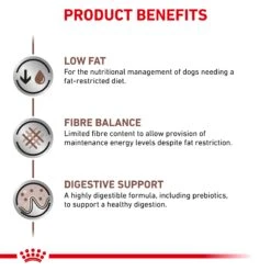 Royal Canin Veterinary Gastrointestinal Low Fat Adult Dog Wet Food 420g Cans -KONG Shop ROYA 9003579016176 9