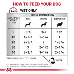 Royal Canin Veterinary Cardiac Dog Wet Food 410g Cans -KONG Shop ROYA 9003579016756 9