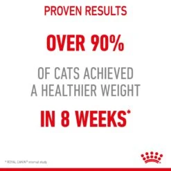 Royal Canin Light Weight Care In Gravy Adult Cat Wet Food 85g Pouches -KONG Shop ROYA 9003579308769 11