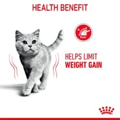 Royal Canin Light Weight Care In Gravy Adult Cat Wet Food 85g Pouches -KONG Shop ROYA 9003579308769 9