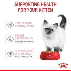 Royal Canin Kitten Chunks In Gravy Wet Cat Food 85g Pouches -KONG Shop ROYA 9003579308943 9