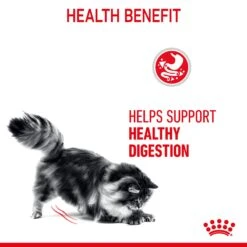 Royal Canin Digestive Care In Gravy Adult Cat Wet Food 85g Pouches -KONG Shop ROYA 9003579309537 10
