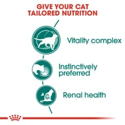 Royal Canin Instinctive Chunks In Gravy Adult 7+ Cat Wet Food 85g Pouches -KONG Shop ROYA 9003579310168 8
