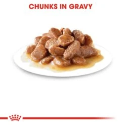 Royal Canin Instinctive Chunks In Gravy Adult 7+ Cat Wet Food 85g Pouches -KONG Shop ROYA 9003579310168 9