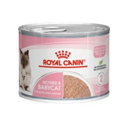 Royal Canin Mother And Babycat Wet Cat Food 195g Cans