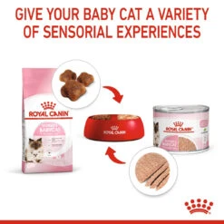 Royal Canin Mother And Babycat Wet Cat Food 195g Cans -KONG Shop ROYA 9003579311660 8