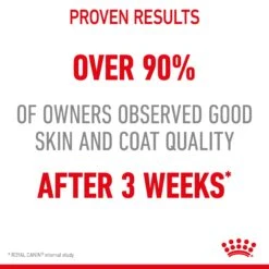 Royal Canin Hair & Skin Care In Jelly Adult Cat Wet Food 85g Pouches -KONG Shop ROYA 9003579311721 11