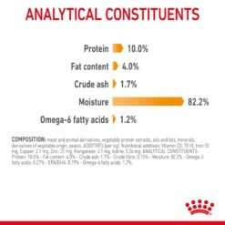 Royal Canin Hair & Skin Care In Jelly Adult Cat Wet Food 85g Pouches -KONG Shop ROYA 9003579311721 14