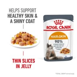 Royal Canin Hair & Skin Care In Jelly Adult Cat Wet Food 85g Pouches -KONG Shop ROYA 9003579311721 8