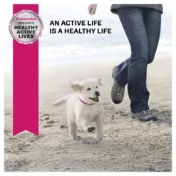 Eukanuba Puppy Medium Breed -KONG Shop ROYA 9334214037349NZNEW 11