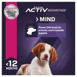 Eukanuba Puppy Medium Breed -KONG Shop ROYA 9334214037349NZNEW 13