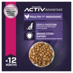 Eukanuba Puppy Medium Breed -KONG Shop ROYA 9334214037349NZNEW 15