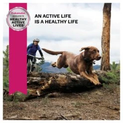 Eukanuba Large Breed Adult Dog Dry Food -KONG Shop ROYA 9334214037585NEWNZ 10