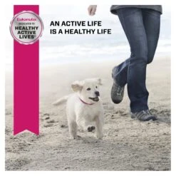 Eukanuba Large Breed Puppy Dry Food -KONG Shop ROYA 9334214037684NEW 10