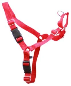 Gentle Leader Harness Medium -KONG Shop Redharness1 1470dad8 3330 4035 b758 372aeee66379