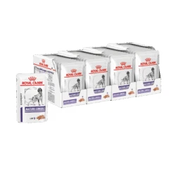Royal Canin Veterinary Diet Mature Consult Dog Wet Food 85g Pouches -KONG Shop RoyalCaninExpertMatureWetDogFood85g