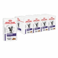 Royal Canin Expert Neutered Weight Balance Wet Cat Food 85g Pouches -KONG Shop RoyalCaninExpertNeuteredWeightBalanceWetCatFood85g