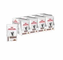 Royal Canin Veterinary Gastrointestinal Wet Cat Food 85g Pouches -KONG Shop RoyalCaninVeterinaryGastrointestinalWetCatFood85g