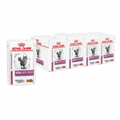 Royal Canin Veterinary Renal With Chicken Wet Cat Food 85g Pouches -KONG Shop RoyalCaninVeterinaryRenalwithChickenWetCatFood85g