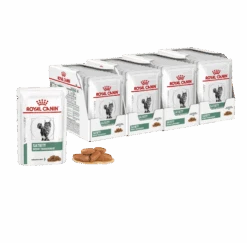 Royal Canin Veterinary Satiety Weight Management Cat Wet Food 85g Pouches -KONG Shop RoyalCaninVeterinarySatietyWeightManagementWetCatFood85g