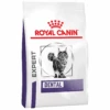 Royal Canin Expert Dental Dry Cat Food -KONG Shop Royal Canin Expert Dental Dry Cat Food RCVC DD15 Primary