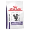 Royal Canin Expert Mature Consult Dry Cat Food 1 Royal Canin Expert Mature Consult Dry Cat Food -KONG Shop Royal Canin Expert Mature Consult Dry Cat Food RCCD SC151 Primary