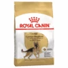Royal Canin German Shepherd Breed Adult Dry Dog Food -KONG Shop Royal Canin German Shepherd Breed Adult Dry Dog Food RCRD GS11 Primary