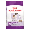 Royal Canin Giant Adult Dog Dry Food