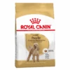 Royal Canin Poodle Breed Adult Dog Dry Food -KONG Shop Royal Canin Poodle Breed Adult Dog Dry Food RCRD P1.5 Primary