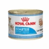 Royal Canin Starter Mousse Dog Wet Food 195g Cans -KONG Shop Royal Canin Starter Mousse Dog Wet Food 195g Cans RCDD GMB01 Primary