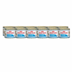 Royal Canin Starter Mousse Dog Wet Food 195g Cans -KONG Shop Royal Canin Starter Mousse Wet Dog Food 195g 12 Cans