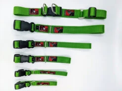 Black Wear Dog Standard Collar - Medium -KONG Shop SC6