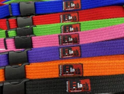 Black Dog Wear Smart Lead Regular 150cm With Buckle -KONG Shop SL1