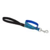 LupinePet Sea Glass Original Designs Dog Leash
