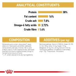 Royal Canin Siamese Breed Adult Dry Cat Food -KONG Shop Siamese CV Eretailkit 6