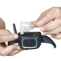 PetSafe Spray Bark Collar -KONG Shop SprayBarkCollar2