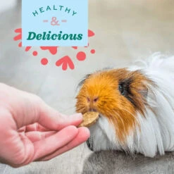 Oxbow Natural Science Multi-Vitamin -KONG Shop Supplements SKUs Lifestyle with callout e1659988933197 2