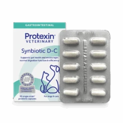 Synbiotic D-C Probiotic & Prebiotic Capsules For Dogs & Cats -KONG Shop Synbiotic dc 1