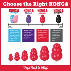 KONG Classic Red -KONG Shop T4 EDU 3 1