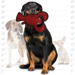 Tuffy SEA Creatures Larry Lobster -KONG Shop TuffySEACREATURESLARRYLOBSTER6