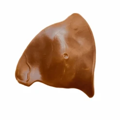 Unreal Vegetarian Ears