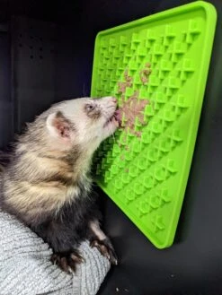 Genia Vetopop Lick Pad -KONG Shop UnusualPetVetsPeninsula1